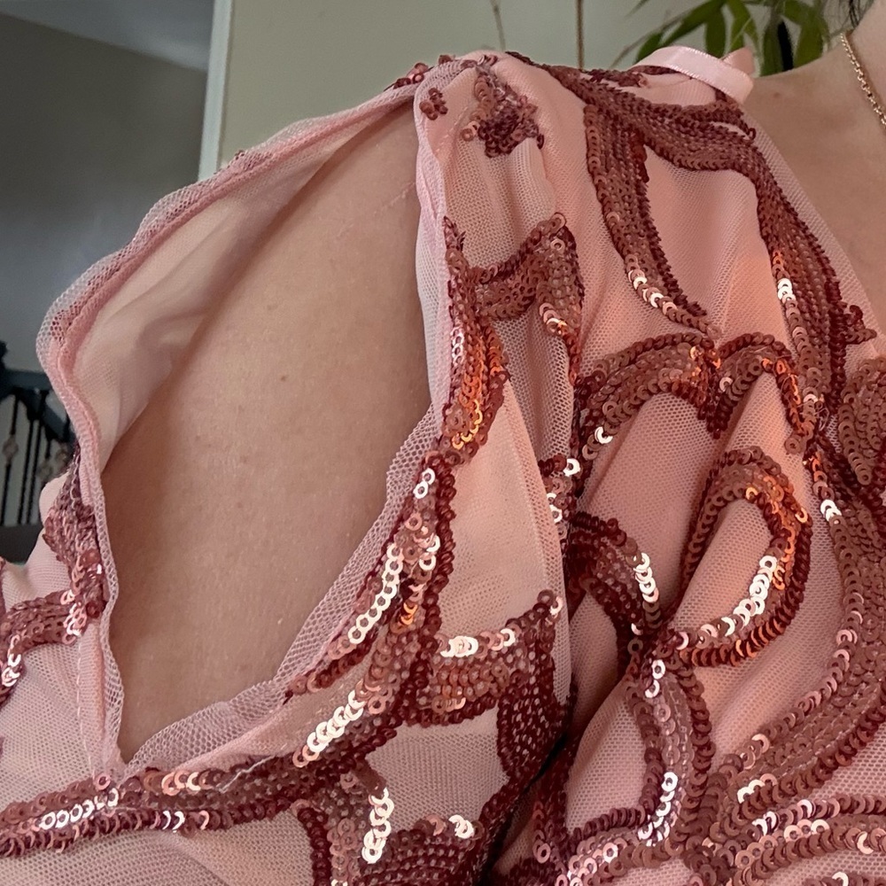 Bariano  Australia Sequin  Evening Dress - Picture 4 of 13